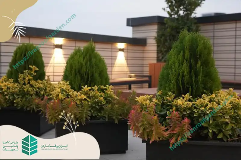 ارتفاع مناسب دیوار در مجوز برای روف گاردن