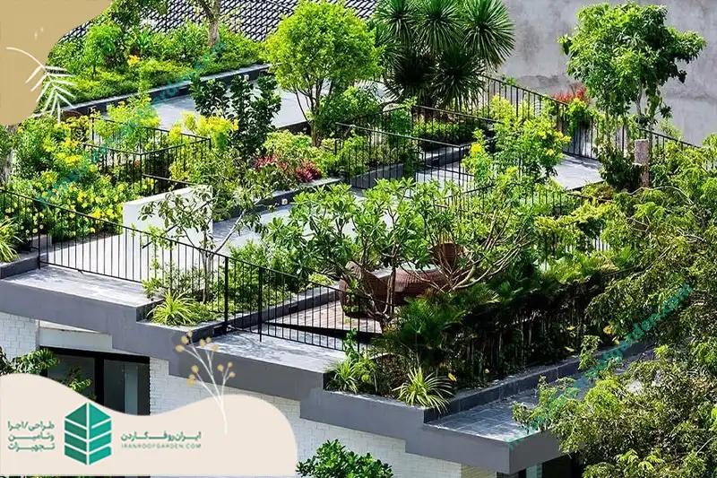انتخاب گیاهان مناسب برای روف گاردنی جذاب