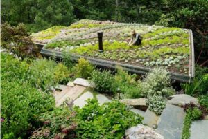 روف گاردن خانه ویلایی