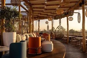 روف گاردن لاکچری و شیک