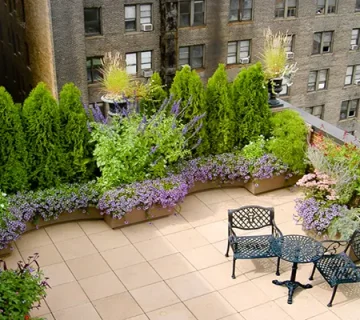 روف گاردن با گیاهان مقاوم