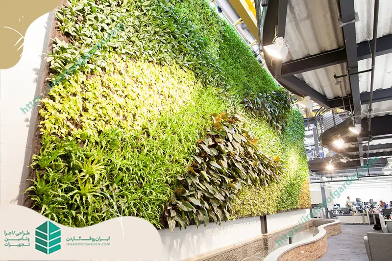  طراحی دیوار سبز به چه صورت است ؟