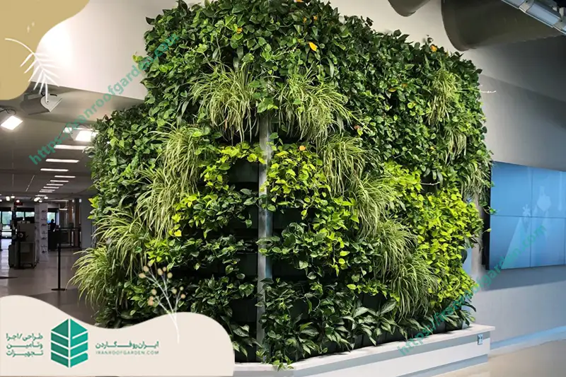 دیوار سبز چیست ؟​