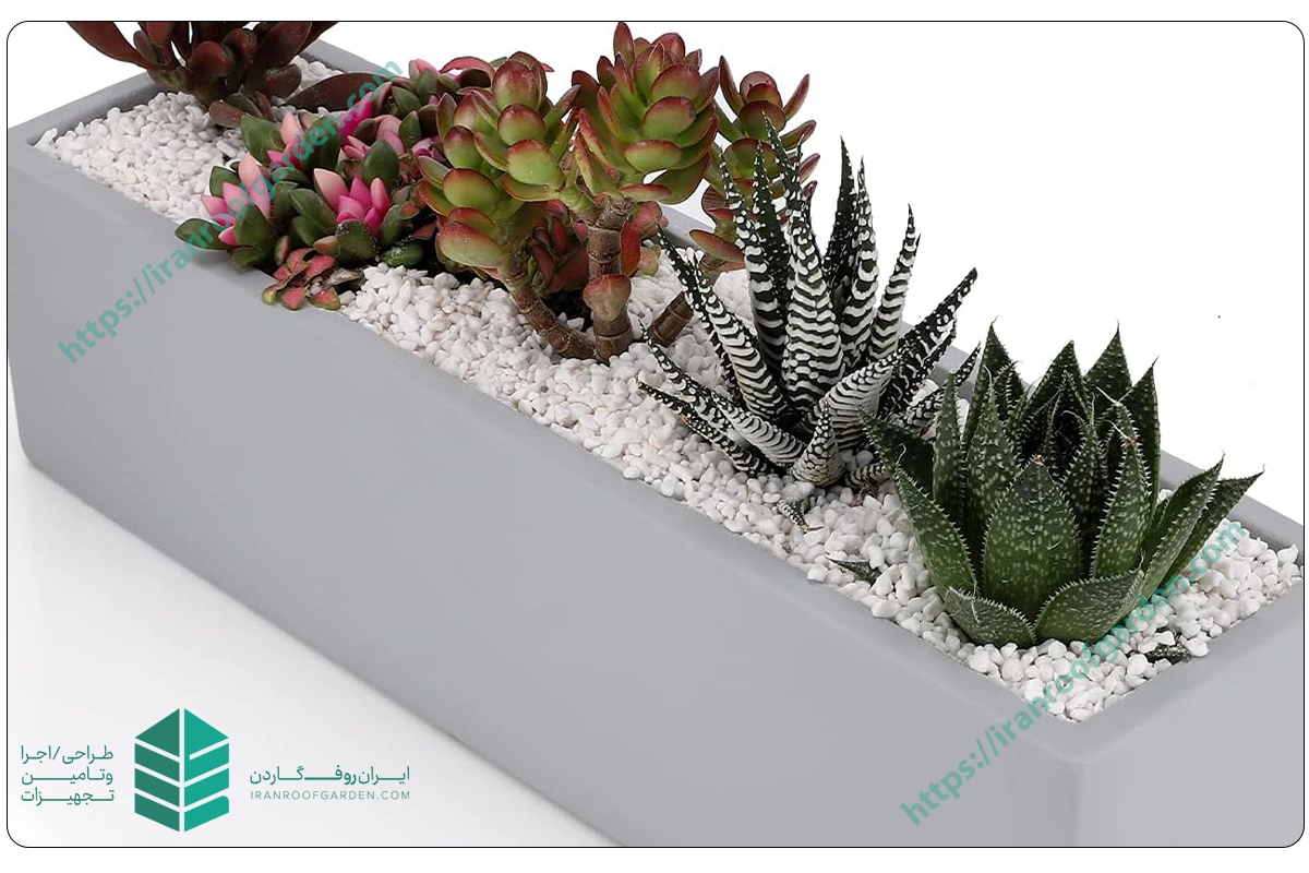 فلاورباکس بتنی گلفوژ