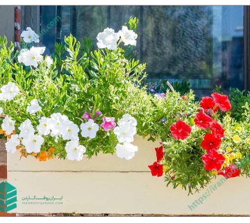 فلاور باکس پلاستیکی روف گاردن