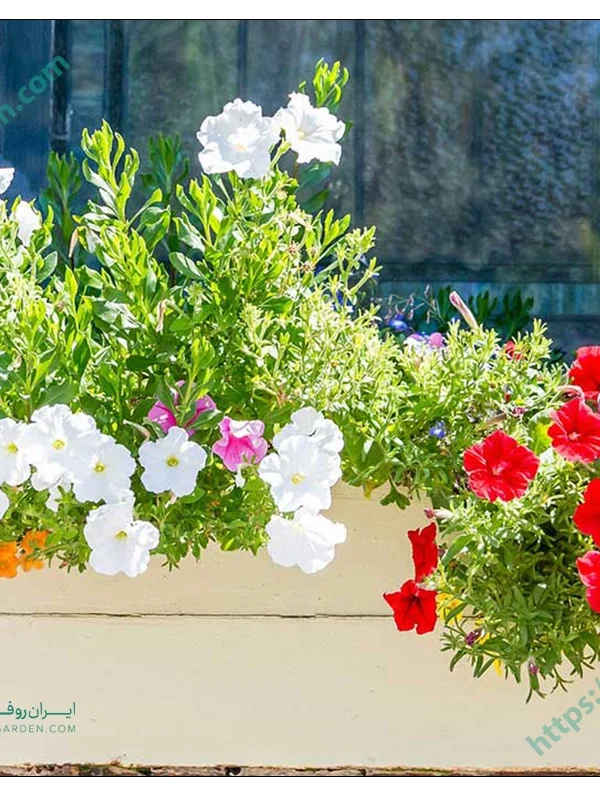 فلاور باکس پلاستیکی روف گاردن