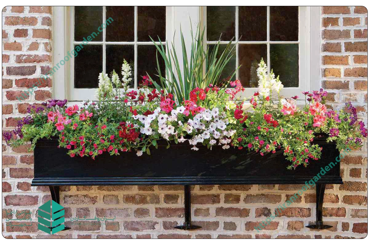 فلاور باکس پشت پنجره