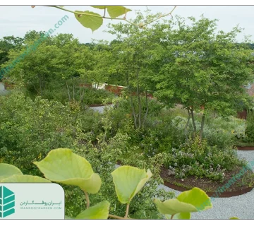 آشنایی با درختان و گونه های مختلف گیاهی در روف گاردن