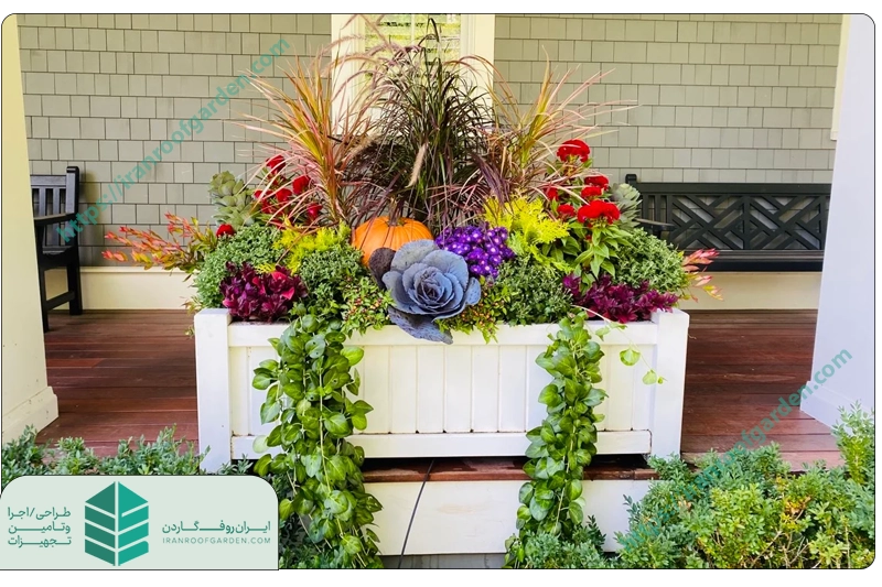 ایده های خلاقانه با عکس فلاور باکس