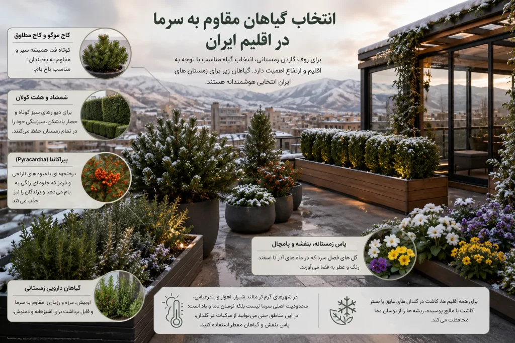 انتخاب گیاهان مقاوم به سرما در اقلیم ایران برای روف گاردن زمستانی