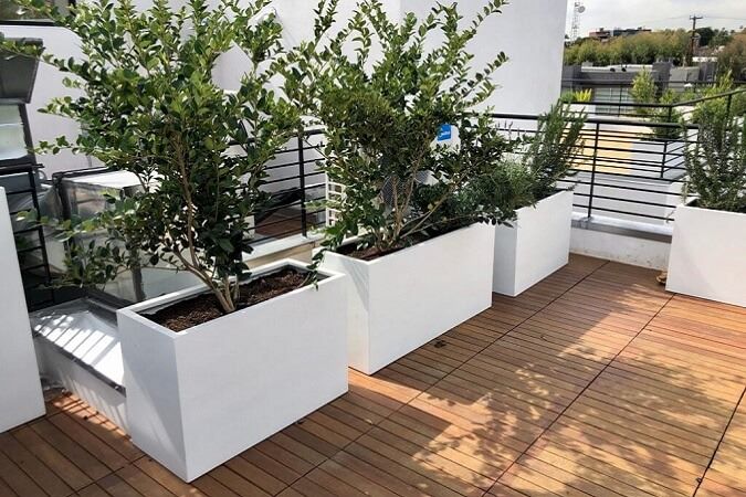 گیاهان مناسب روف گاردن