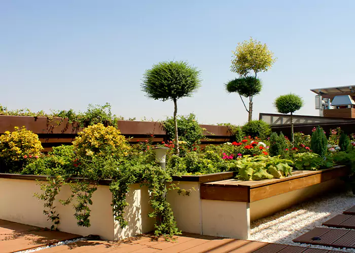 گیاهان مناسب روف گاردن