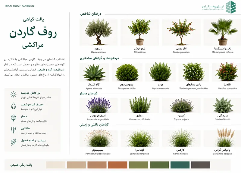 گیاهان مناسب برای روف گاردن مراکشی