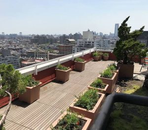 گلدان روف گاردن