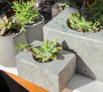 فلاور باکس سیمانی