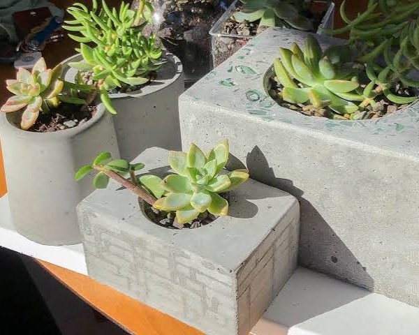 فلاور باکس سیمانی