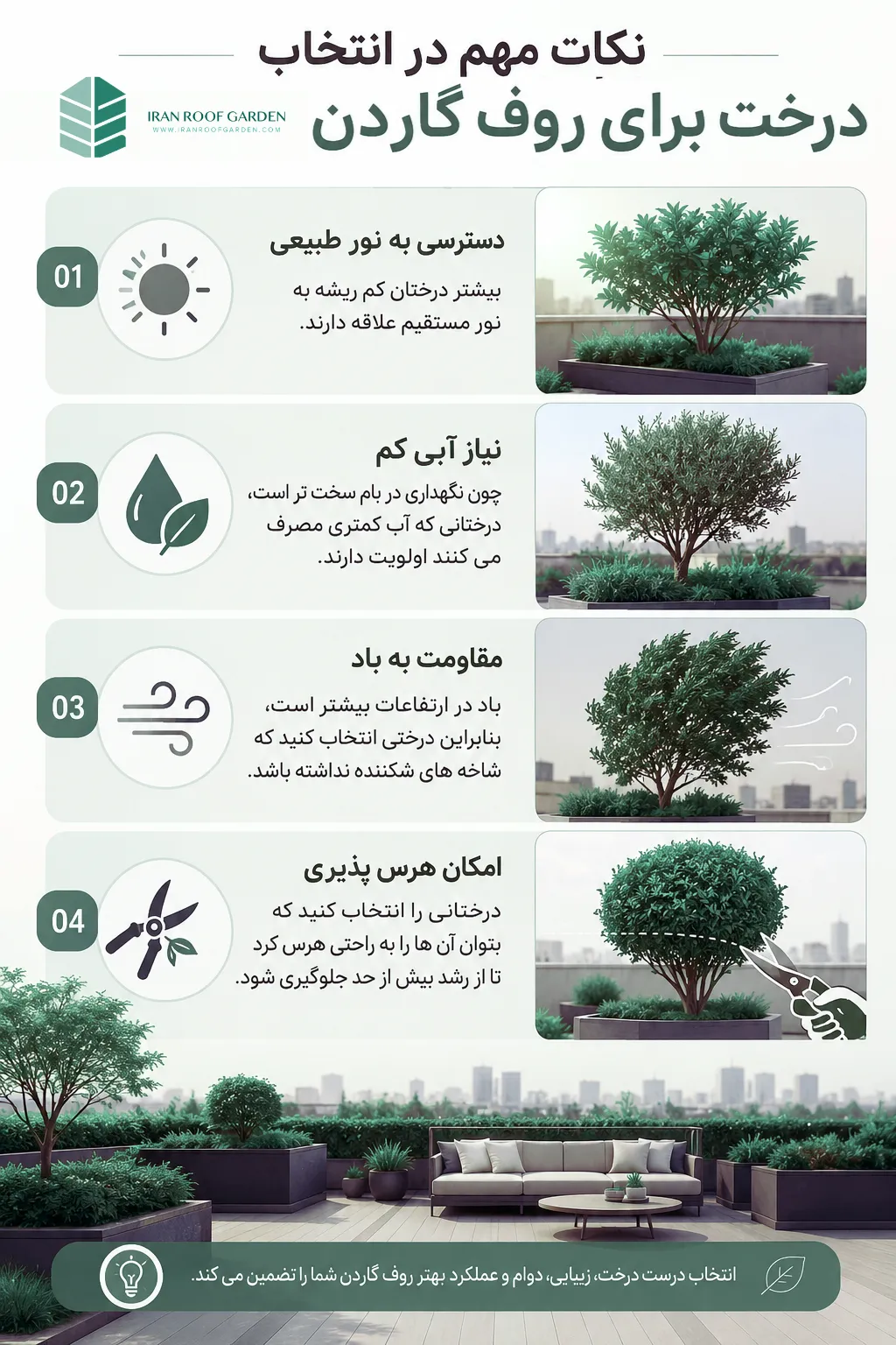 انتخاب درخت نکات مهم برای روف گاردن