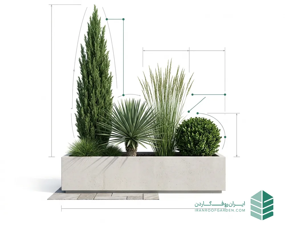 گیاهان با فرم معماری مناسب در روف گاردن به سبک مدرن