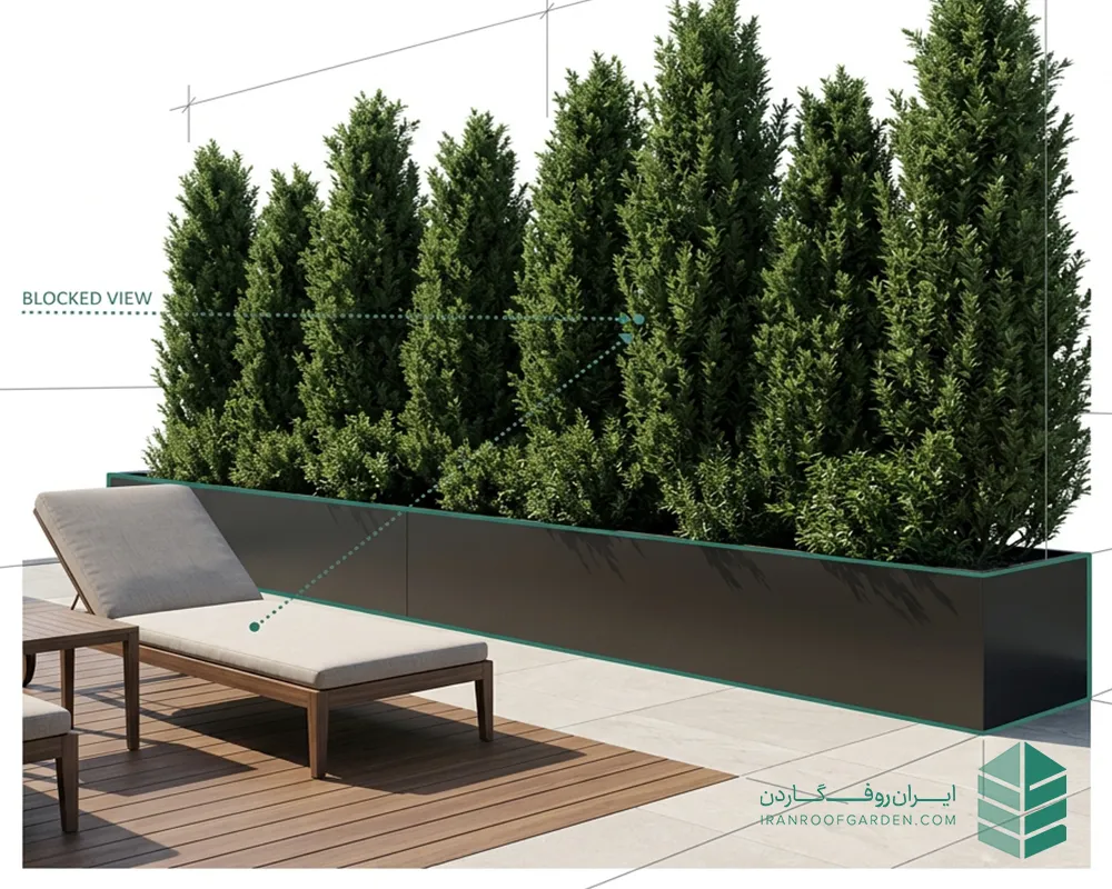 استفاده از گیاهان برای ایجاد حریم خصوصی در روف گاردن به سبک مدرن